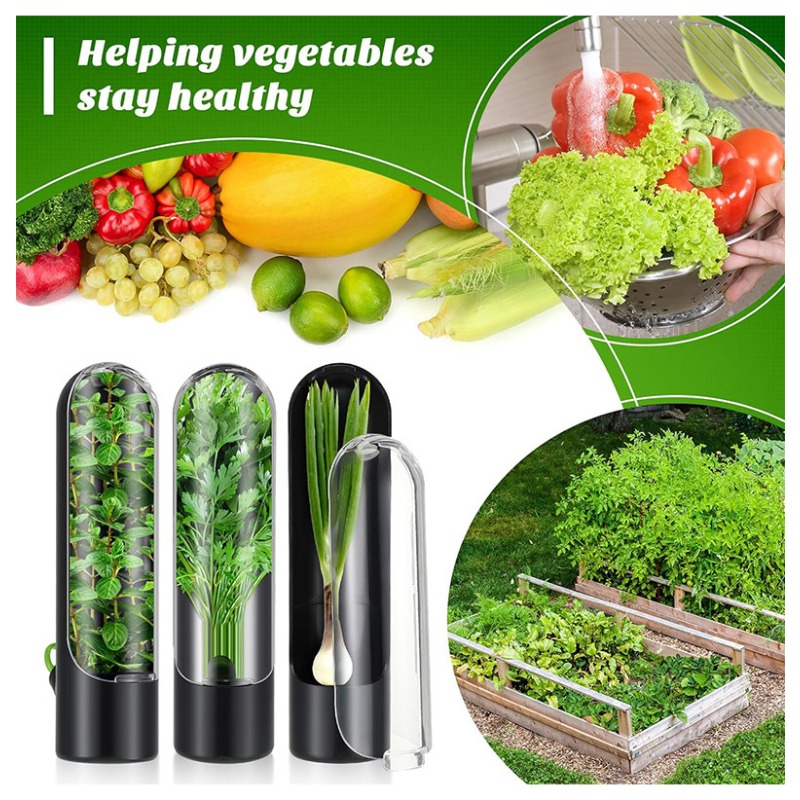 Herb Keeper Bottle - 1/2/3PCS Herb Saver Storage Container Fresh