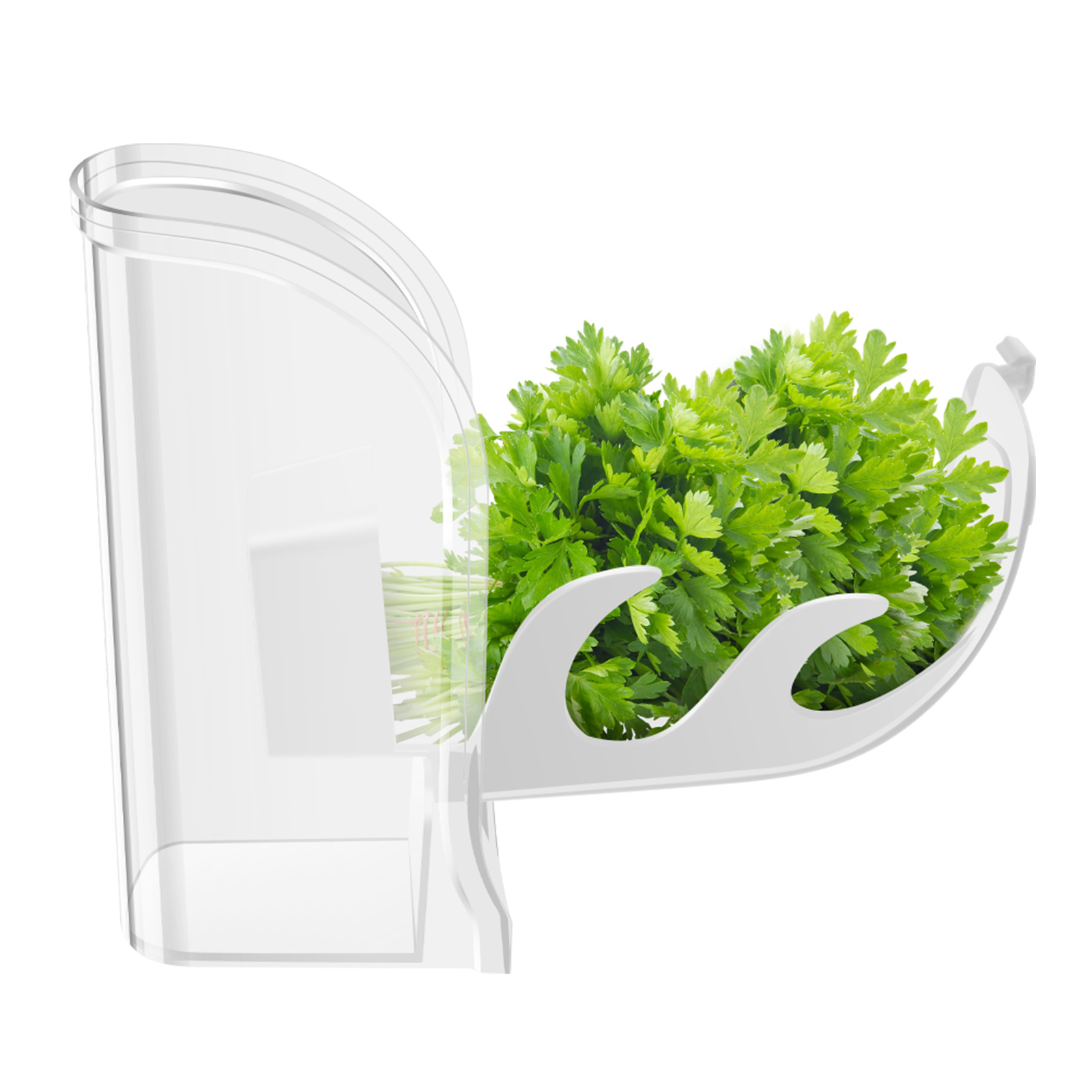 Herb Crisper Saver Container R - Herb Keeper Bottle recension och pris