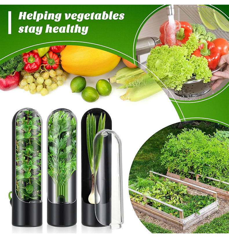 Vegetables Fresh Preservation  - Herb Keeper Bottle recension och pris
