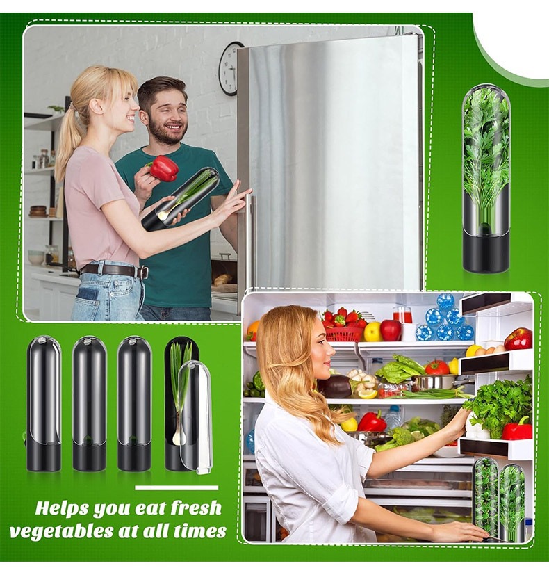 Vegetables Fresh Preservation  - Herb Keeper Bottle recension och pris